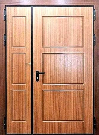 Противопожарная дверь FT-60-2